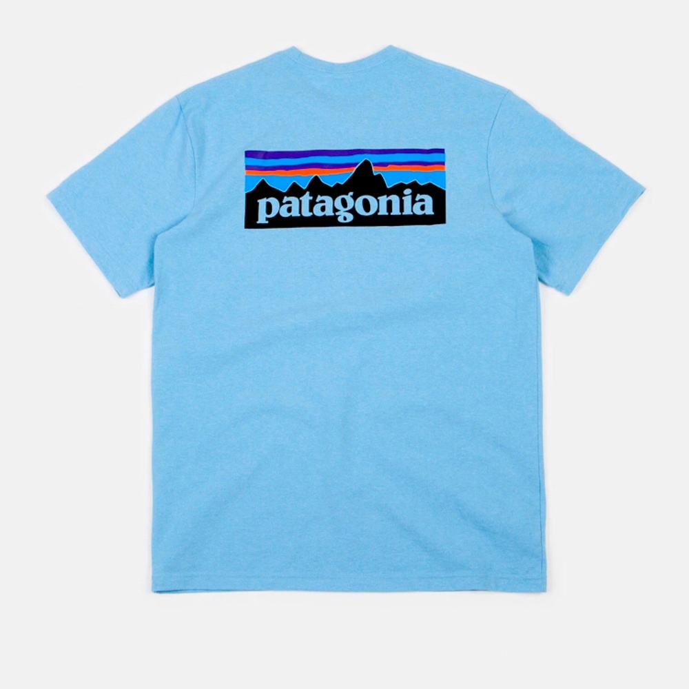 Patagonia T-shirt